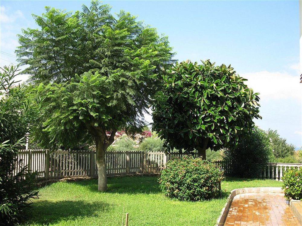 My Villa Eden Torre Ruffa Buitenkant foto